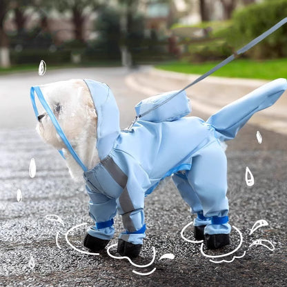 Rainy Day, No Problem! Ultimate Pet Raincoat for Cozy Walks!